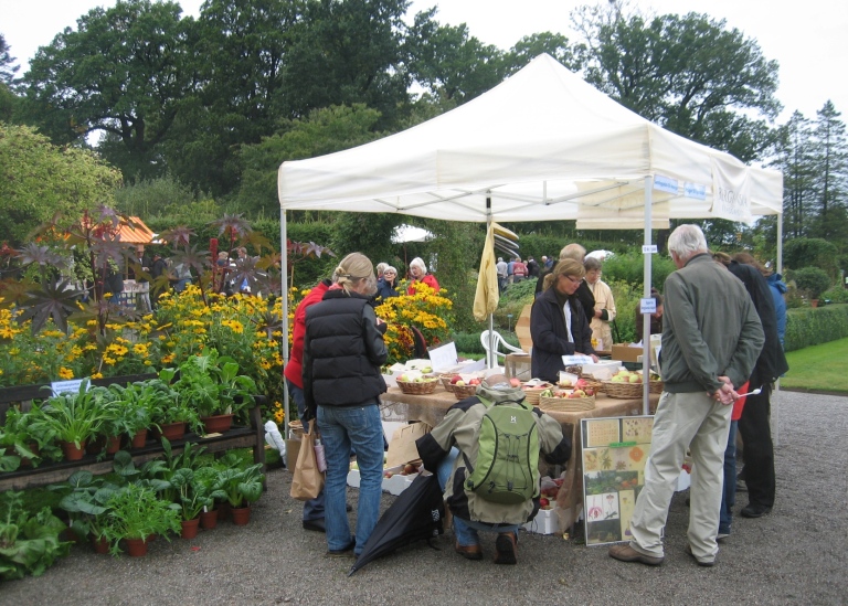 Höstfest i Bergianska trädgården