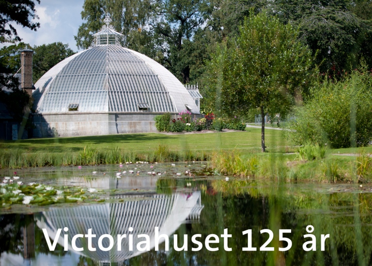 Victoriahuset 125 år